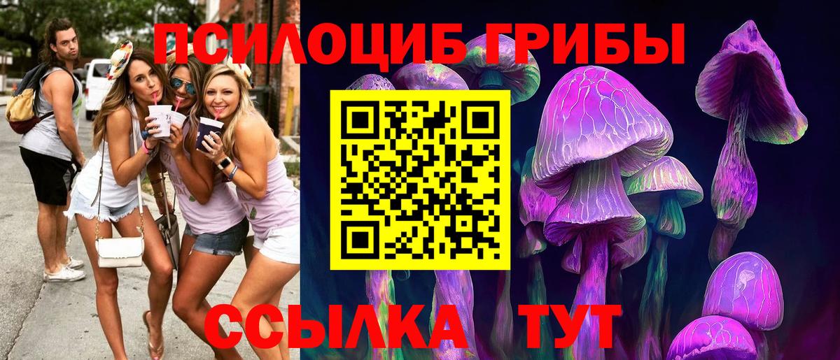 Верхняя Салда  Галлюциногенные грибы прущие грибы  Вход с VPN 